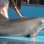 Coffee: কফি খেতে ভালবাসেন, সবচেয়ে সুস্বাদু কফি তৈরি হয় কী দিয়ে জানেন? জানলে বমি পাবে